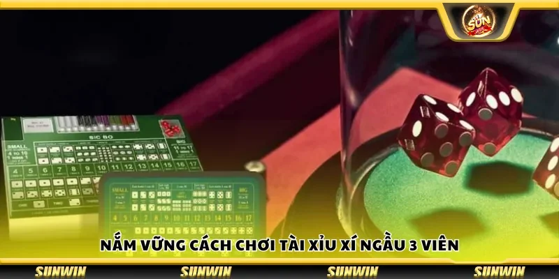 Nắm vững cách chơi tài xỉu xí ngầu 3 viên