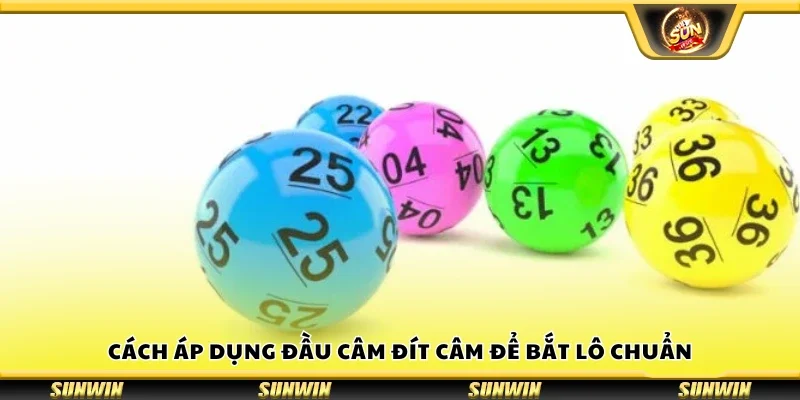 Cách áp dụng đầu câm đít câm để bắt lô chuẩn